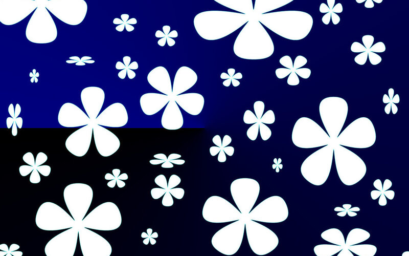 white flowers on blue and black
