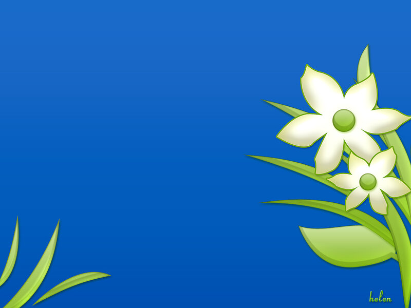 white flowers on blue background