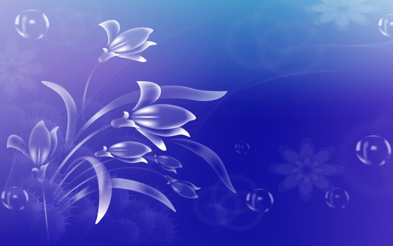 White Flowers on Blue Background — Serene, Digital Art