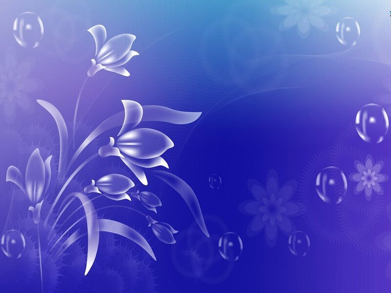 White Flowers on Blue Background — Serene