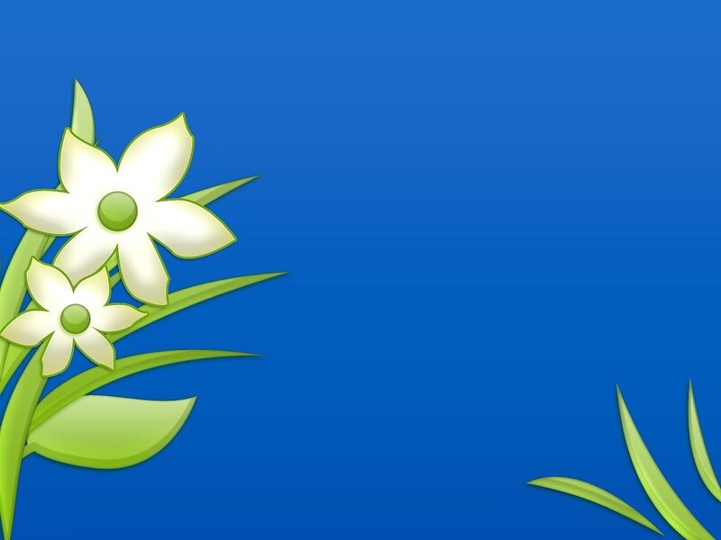White Flowers on Blue — Calm