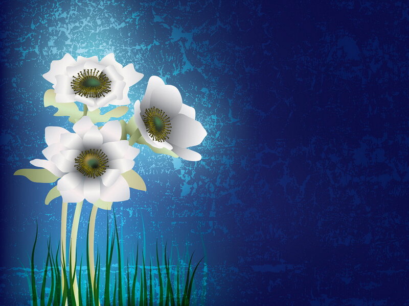 White Flowers on Blue — Serene, Digital Art