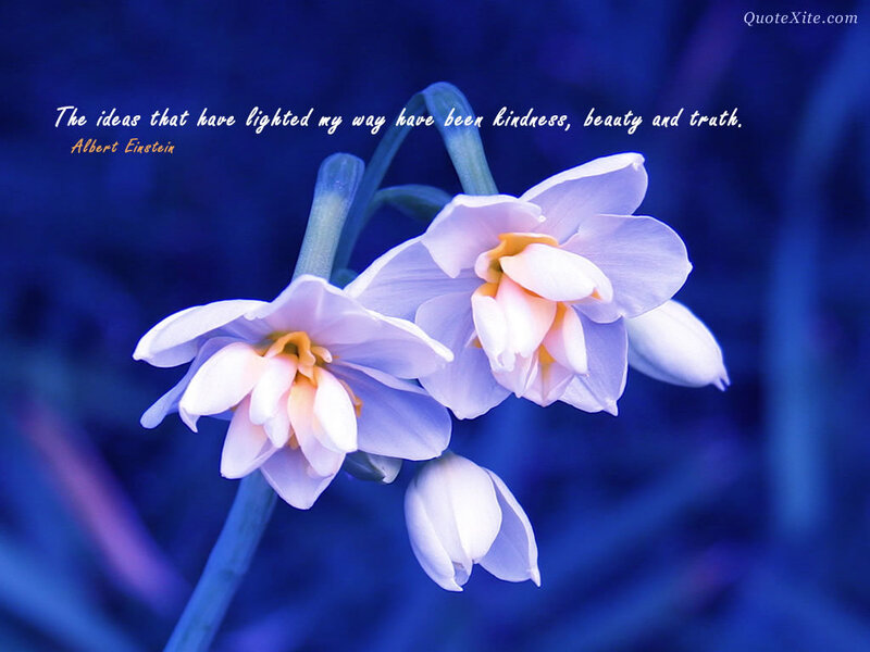 White Flowers on Blue — Serene