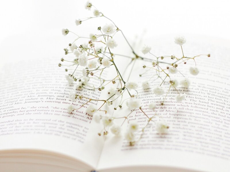 White Flowers on Book — Serene, Photograph