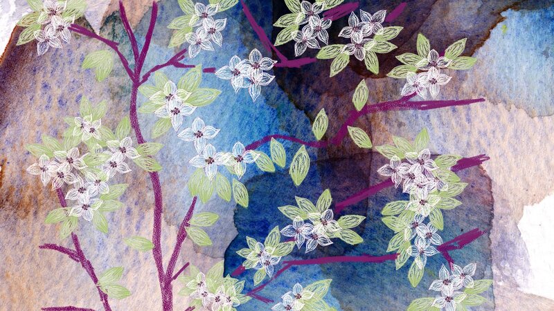White Flowers on Branches