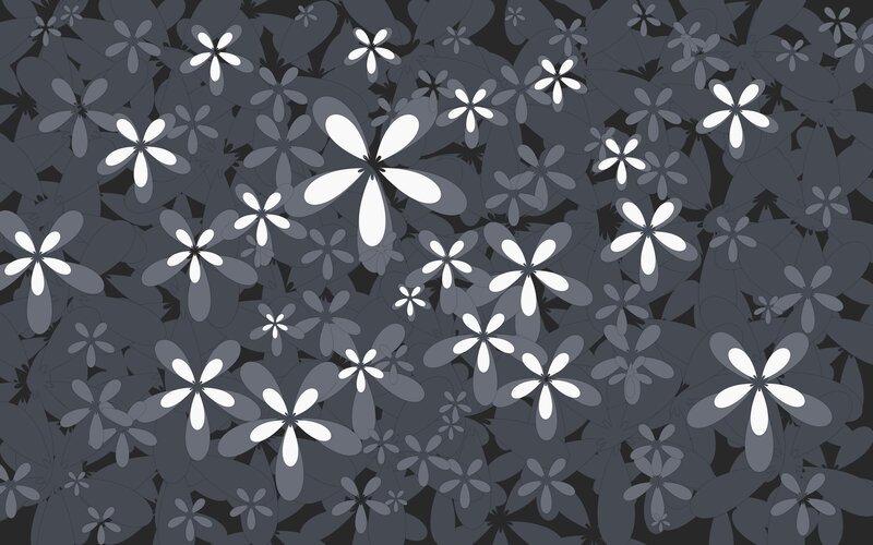 White Flowers on Dark Background — Black, Calm