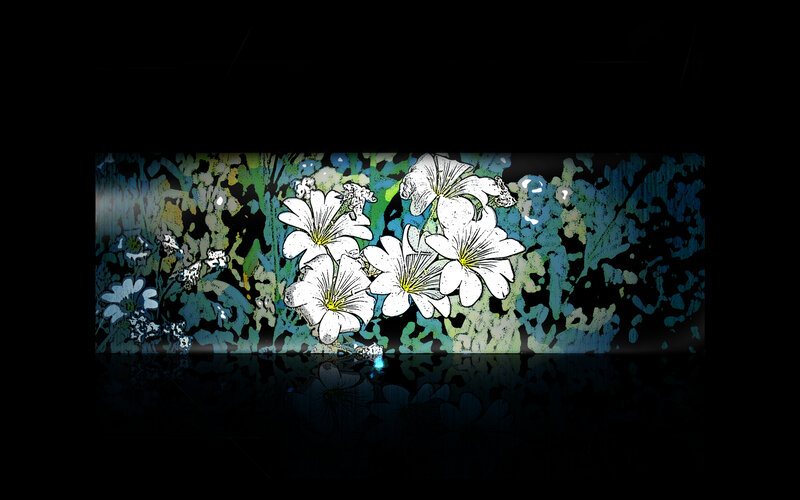 White Flowers on Dark Background — Black, Serene
