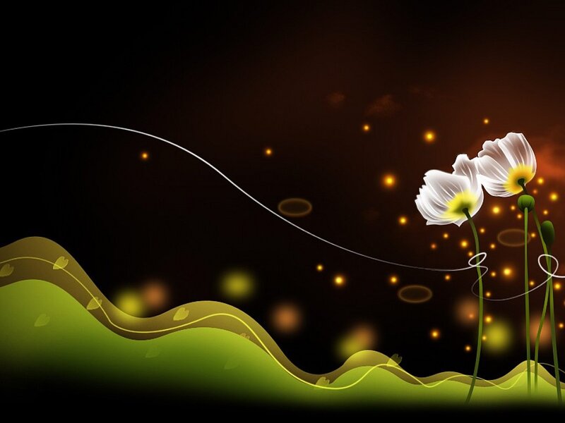 White Flowers on Dark Background — Black