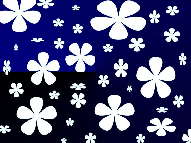 White Flowers on Dark Background — Blue, Calm