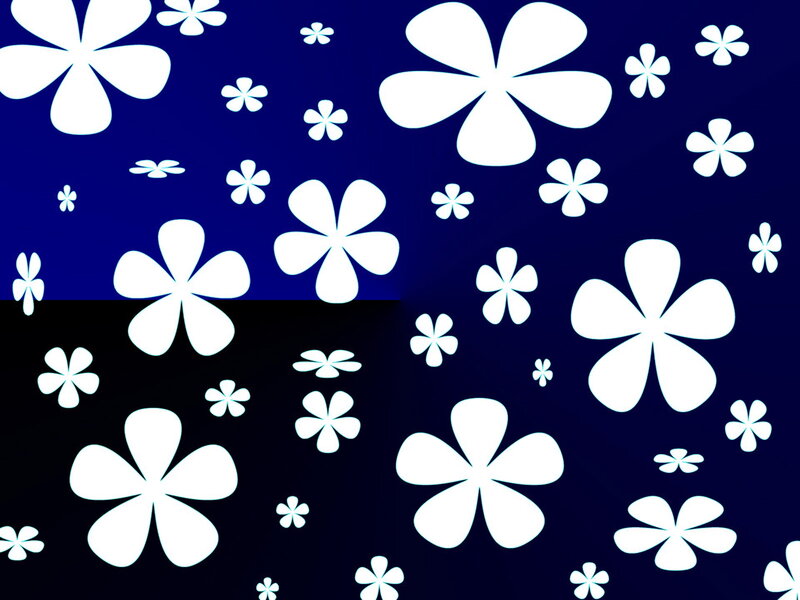 White Flowers on Dark Background — Blue