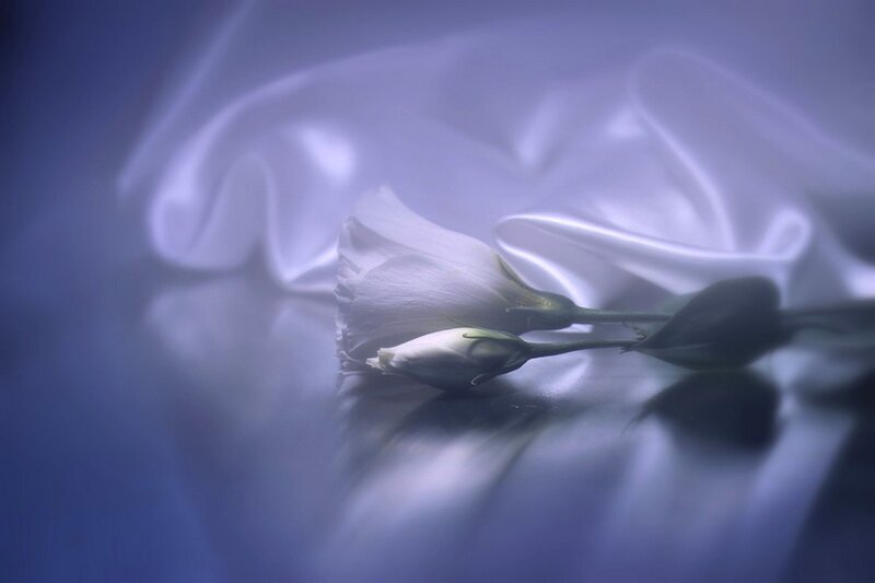White Flowers on Fabric — Blue
