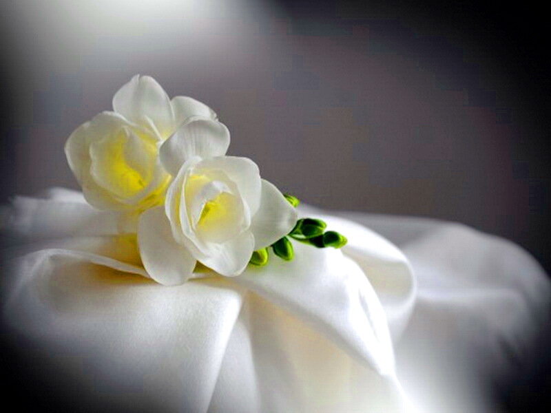 White Flowers on Fabric