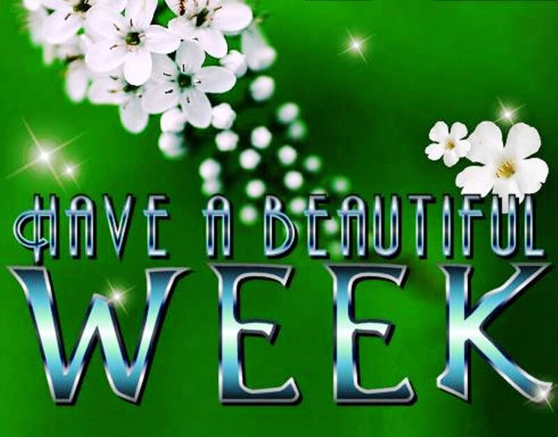 White Flowers on Green — Cheerful