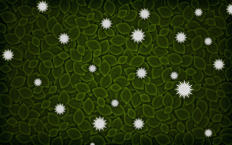 White flowers on green leaves