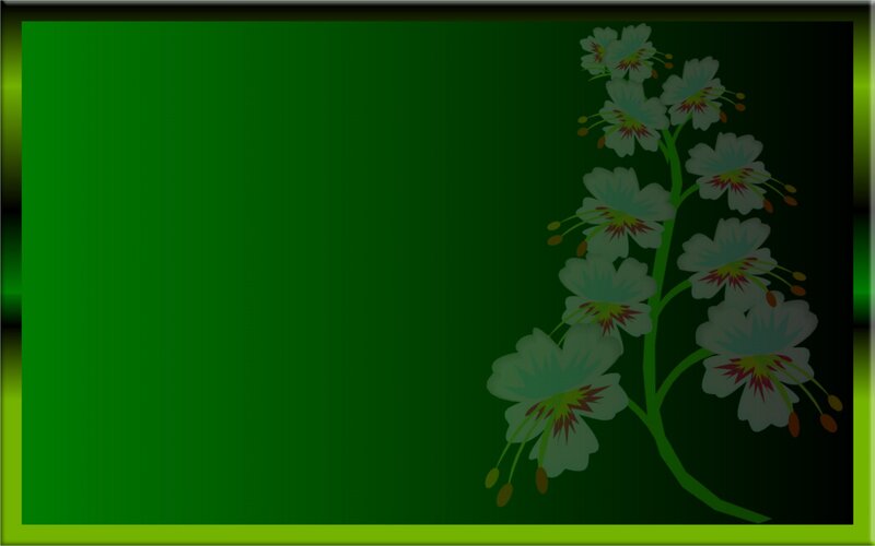 White Flowers on Green Stem — Calm
