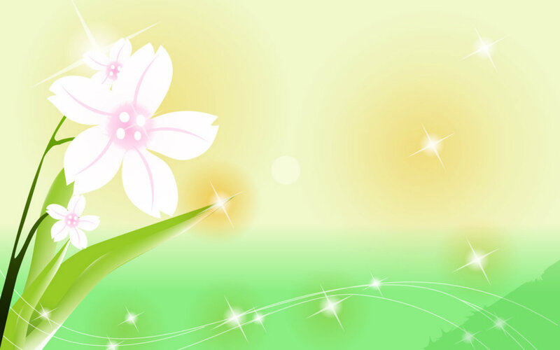 White Flowers on Green Stems — Serene, Morning