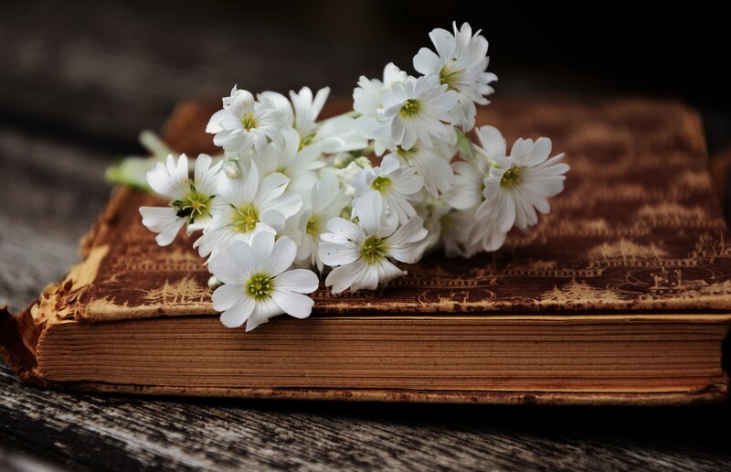 White flowers on old book