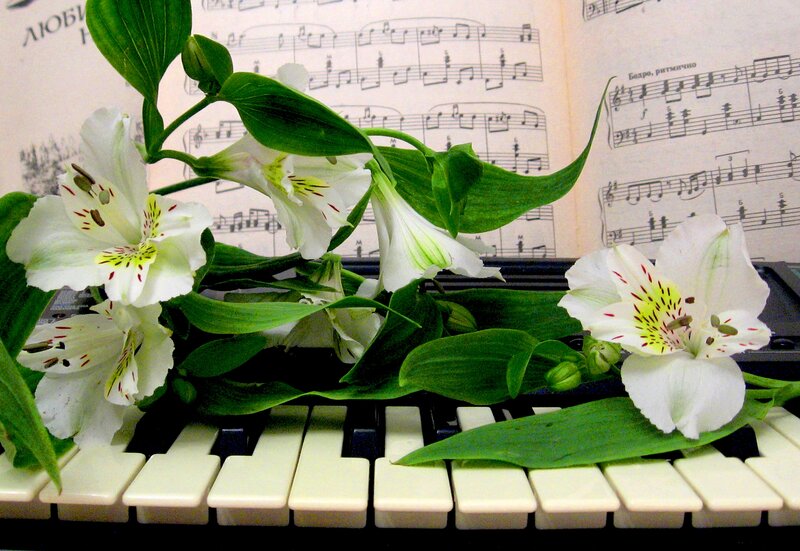 White Flowers on Piano