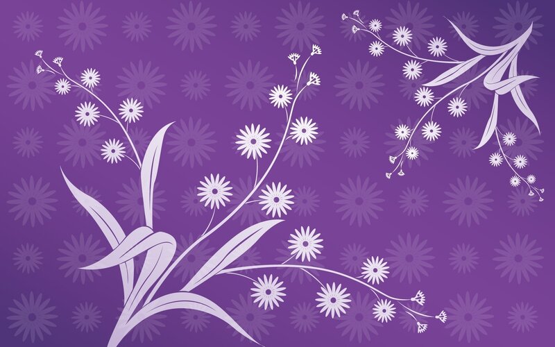 White Flowers on Purple — Calm