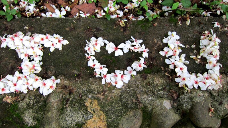White Flowers on Stone