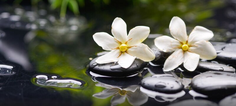 White Flowers on Stones