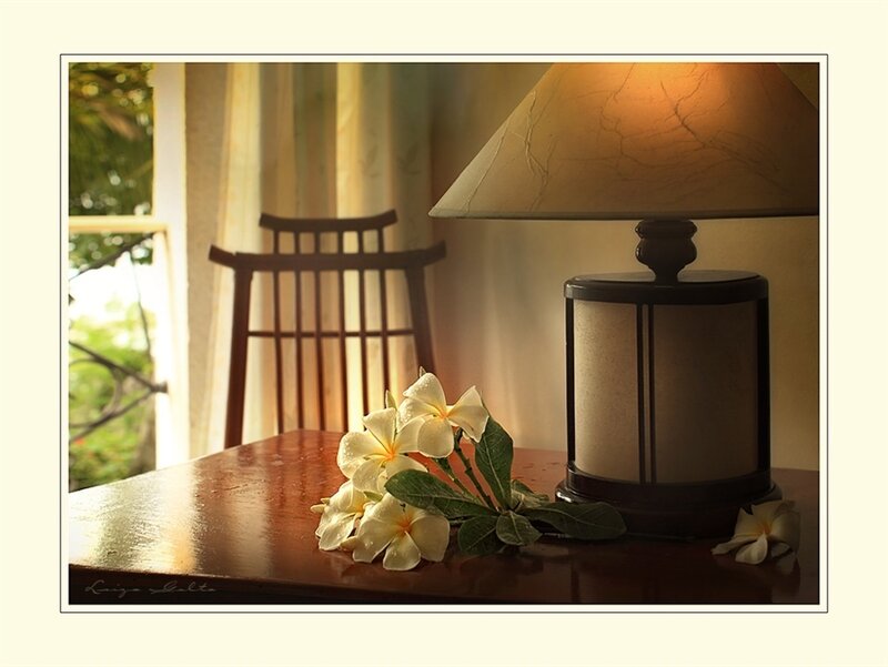 White Flowers on Table