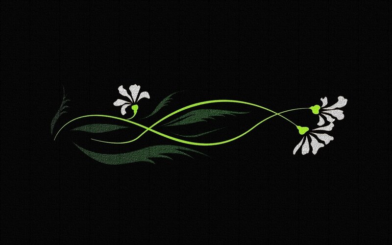 White Flowers on Vine — Black
