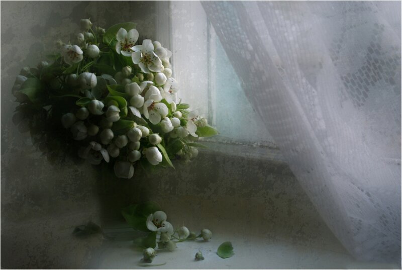 White Flowers on Windowsill