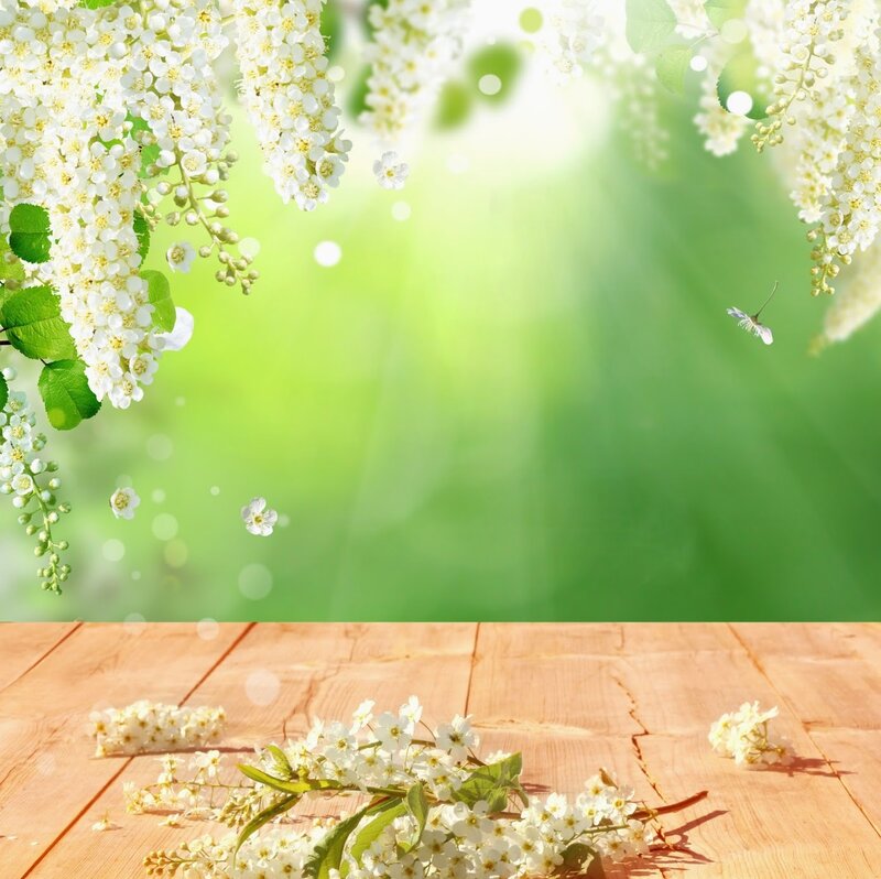 White Flowers on Wood — Serene, Spring, Photograph