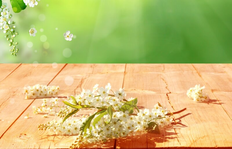 White Flowers on Wood — Serene, Spring