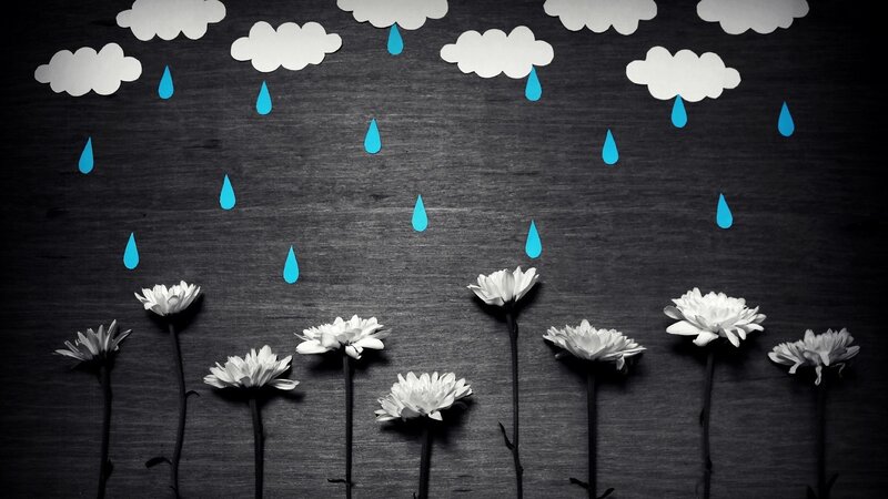 White Flowers under Rain — Black, Calm