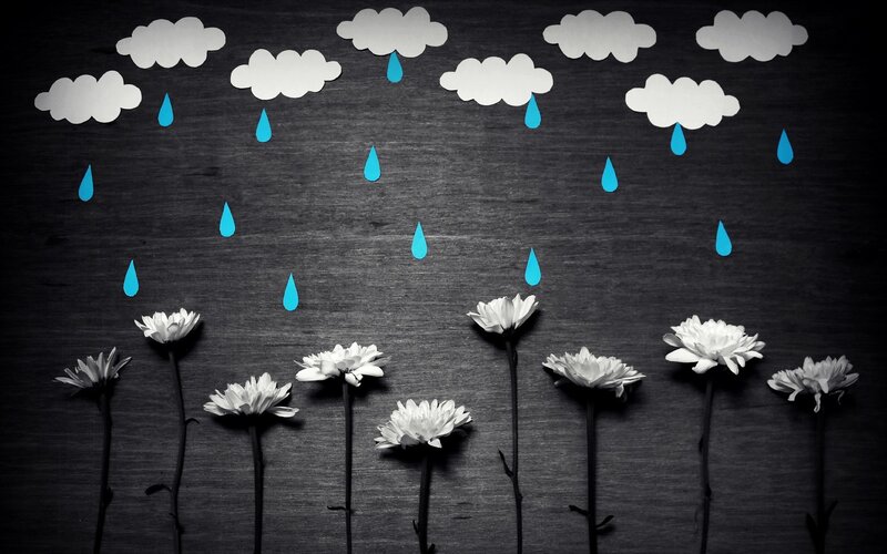 White Flowers under Rain — Black