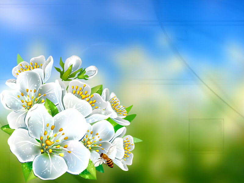 White Flowers with Bee — Blue