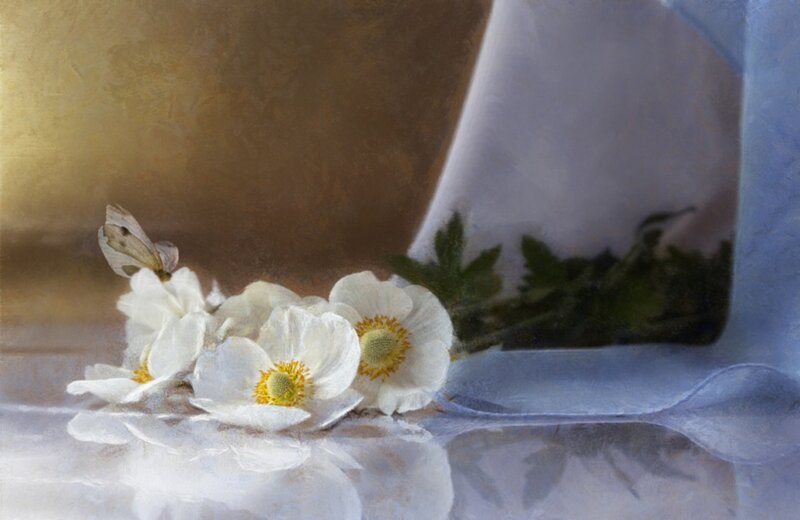 White Flowers with Butterfly