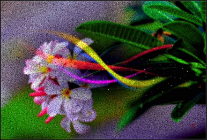White Flowers with Green Leaves — Dreamy