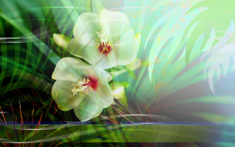 White Flowers with Green Leaves — Ethereal