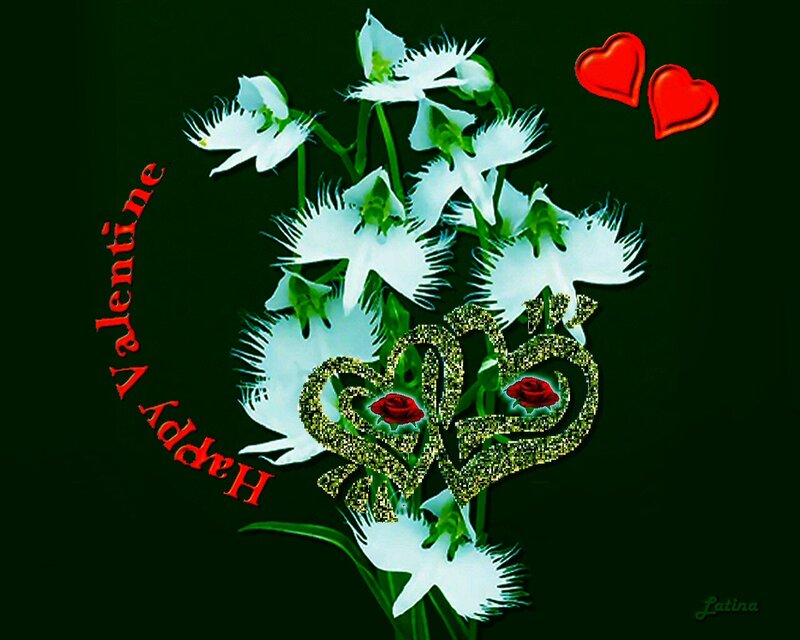 White Flowers with Hearts
