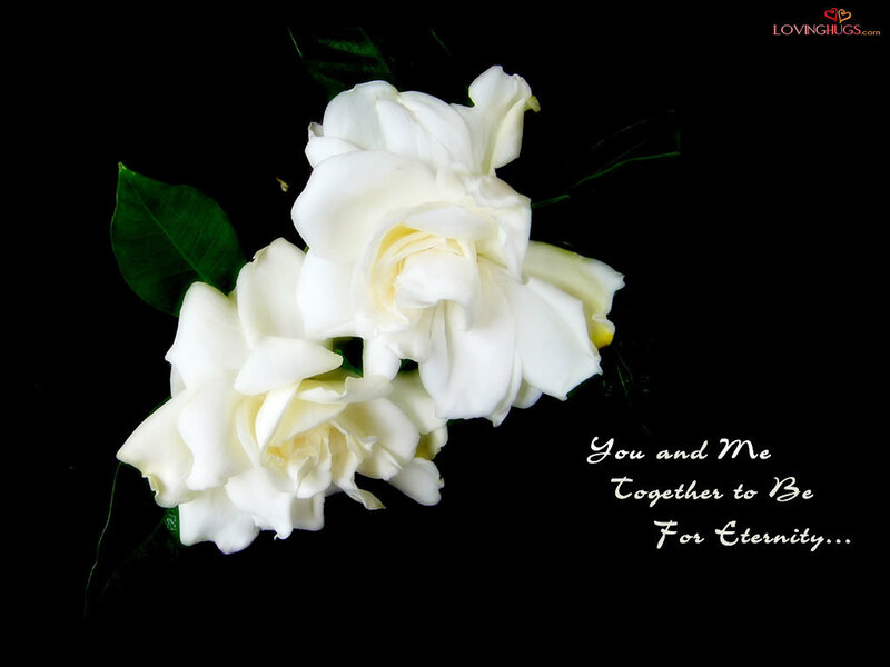 White flowers with love message