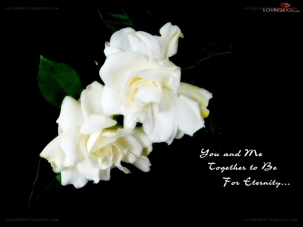White flowers with love message