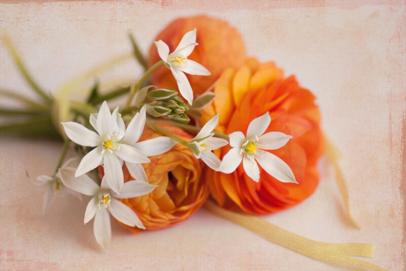 White Flowers with Orange Ranunculus