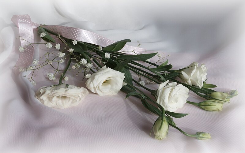 White flowers with ribbon