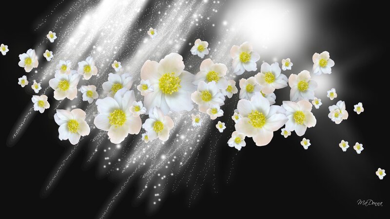 White Flowers with Sparkles