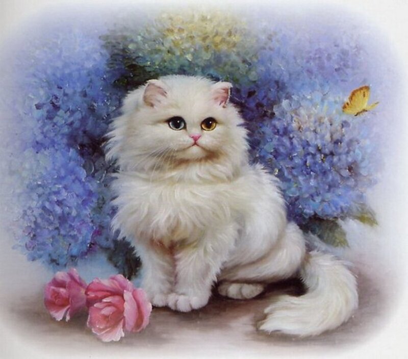 White Fluffy Cat — Serene