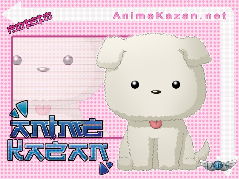 White Fluffy Dog — Pink