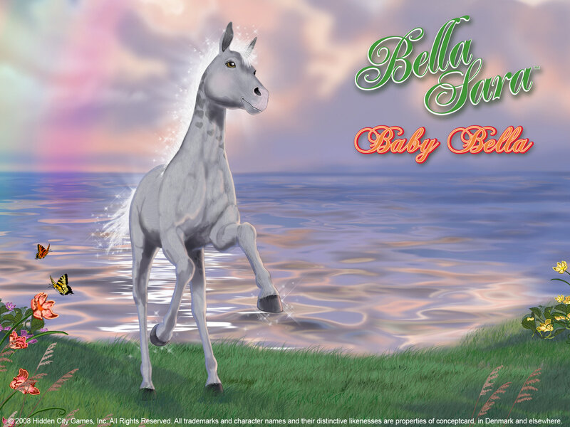 White Foal on Grass