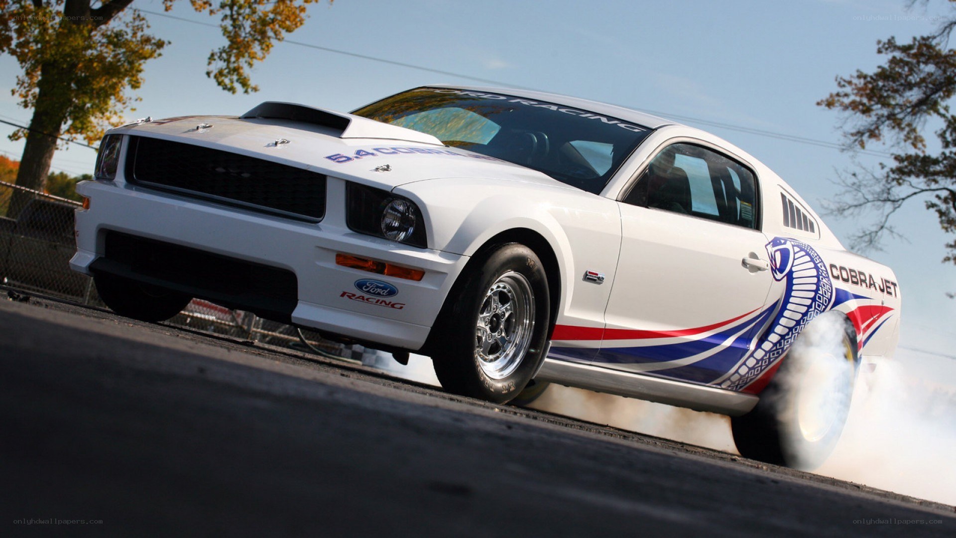 white ford cobra jet drag car