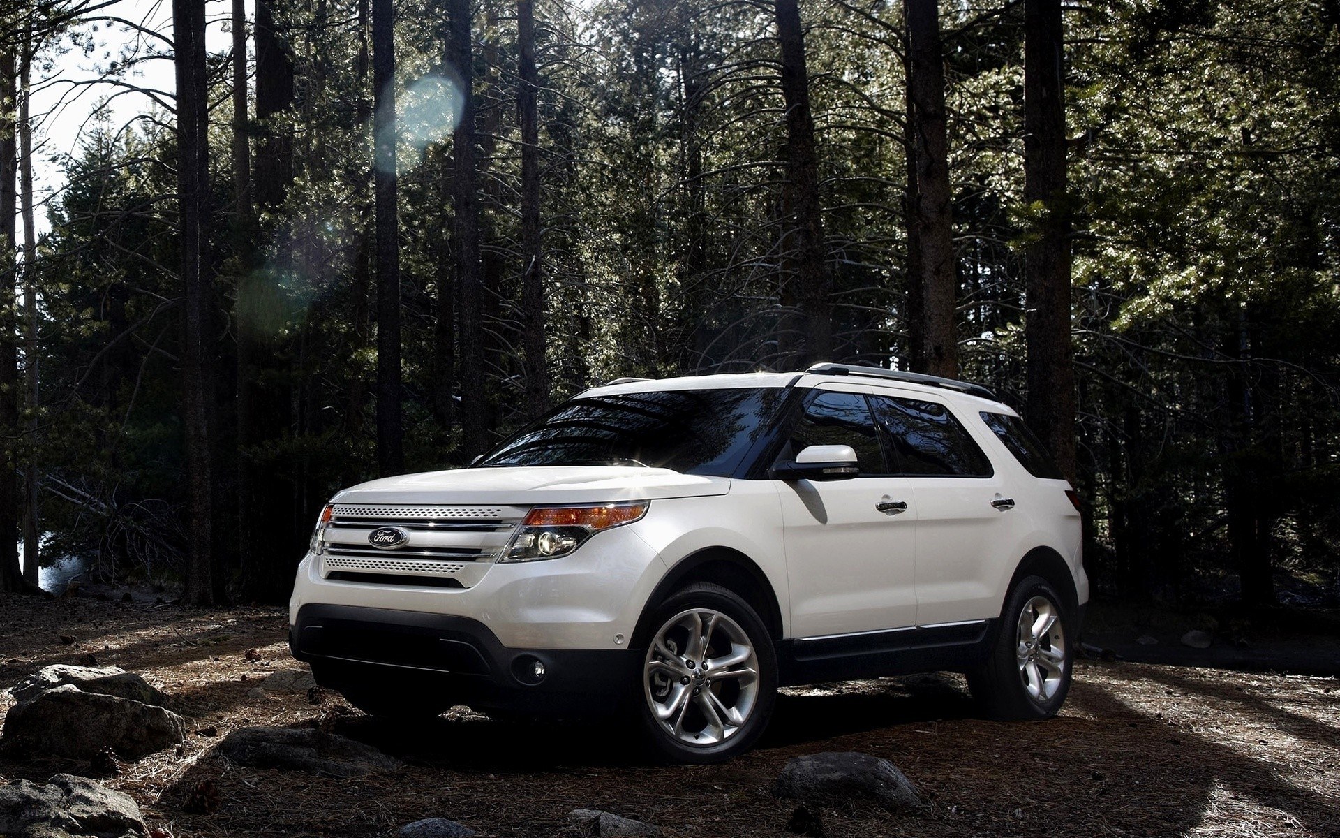 White Ford Explorer in forest