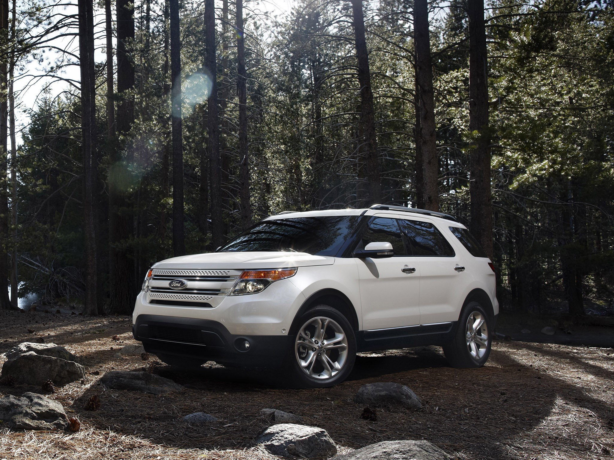 White Ford Explorer in forest
