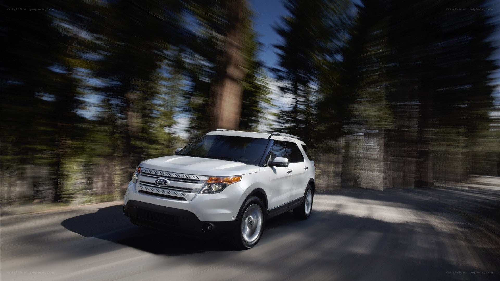 White Ford Explorer on forest road