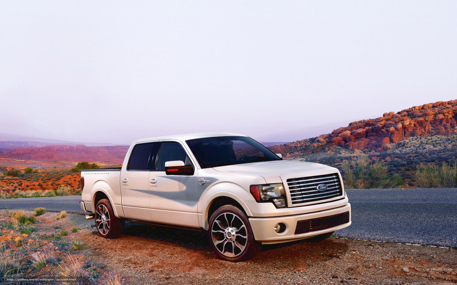 white ford f-150 in desert